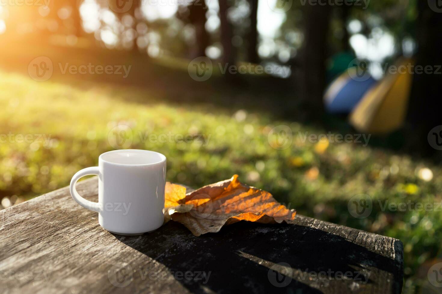 White coffee mug in the morning time photo