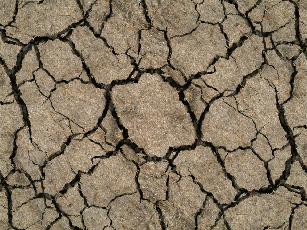 Dry soil in summer photo