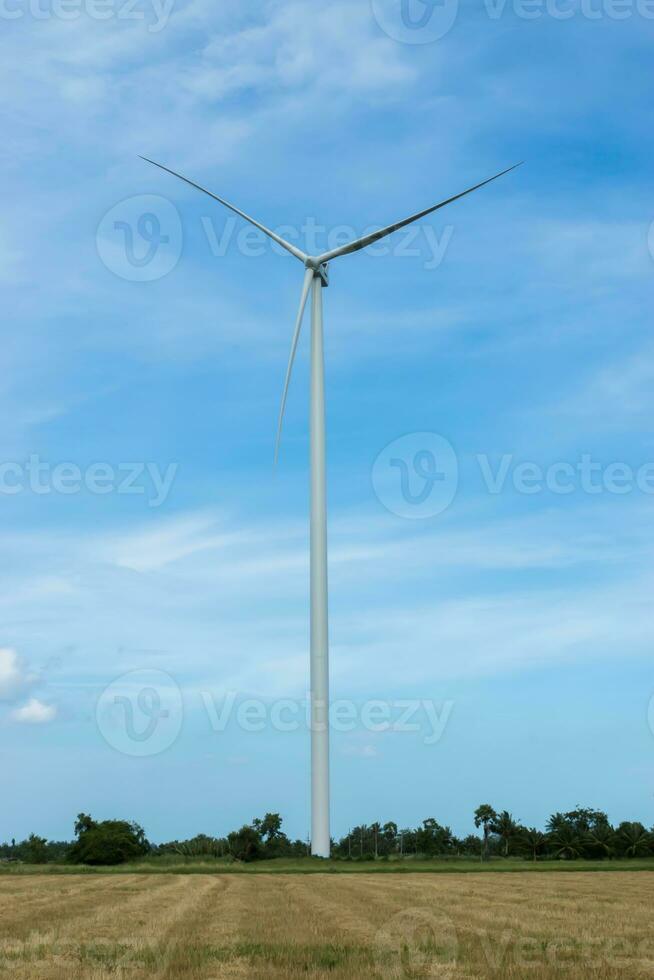 Wind turbines generate electricity photo