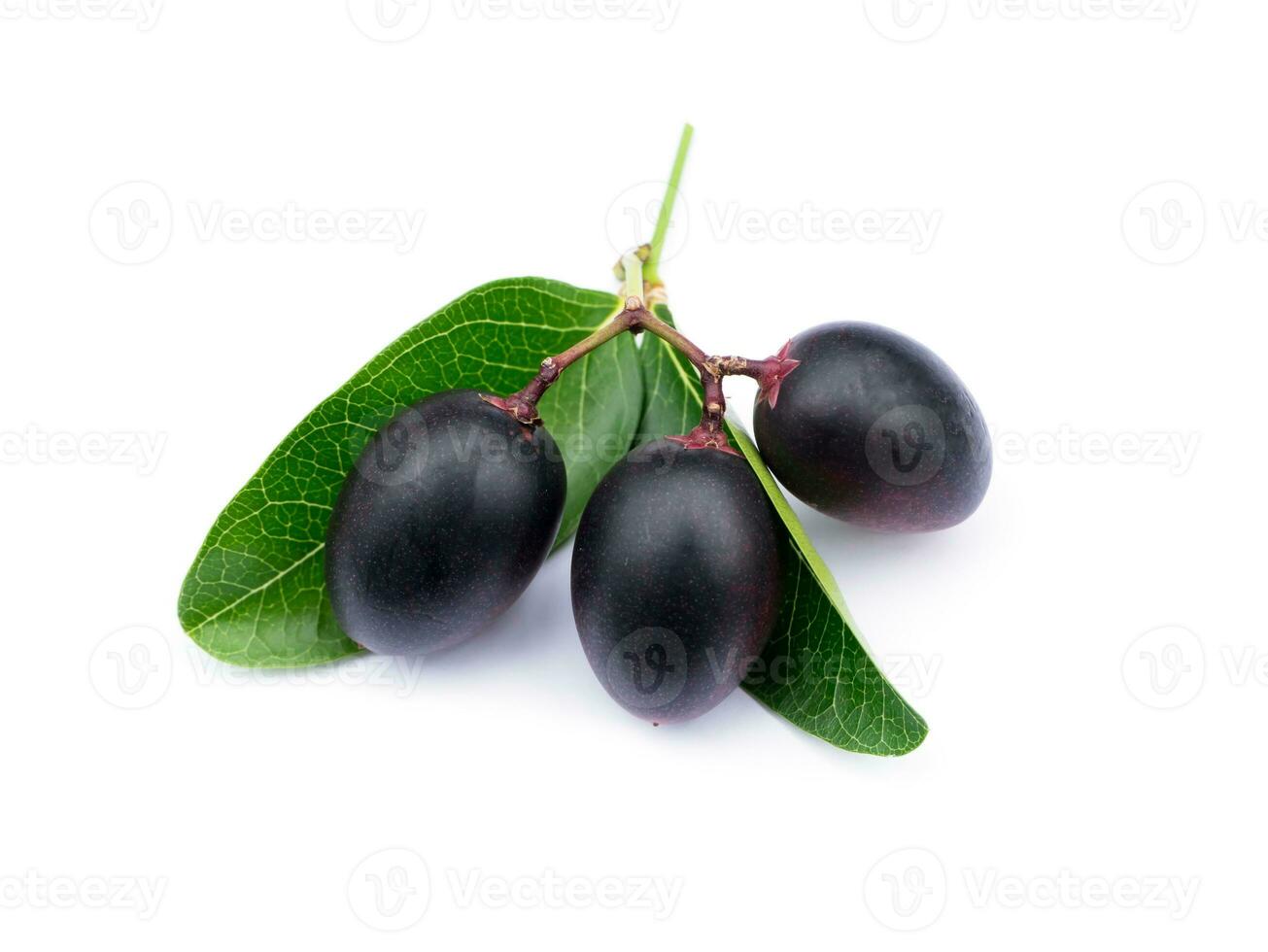 The fruits are high vitamin on white background. photo