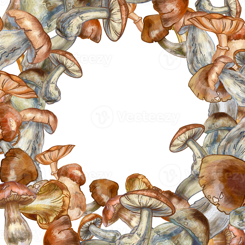 Edible mushrooms. Round frame made of different types of mushrooms. For printing labels, menus, packaging of mushroom products, website design, printing on dishes. Frame with space for inserting text. png