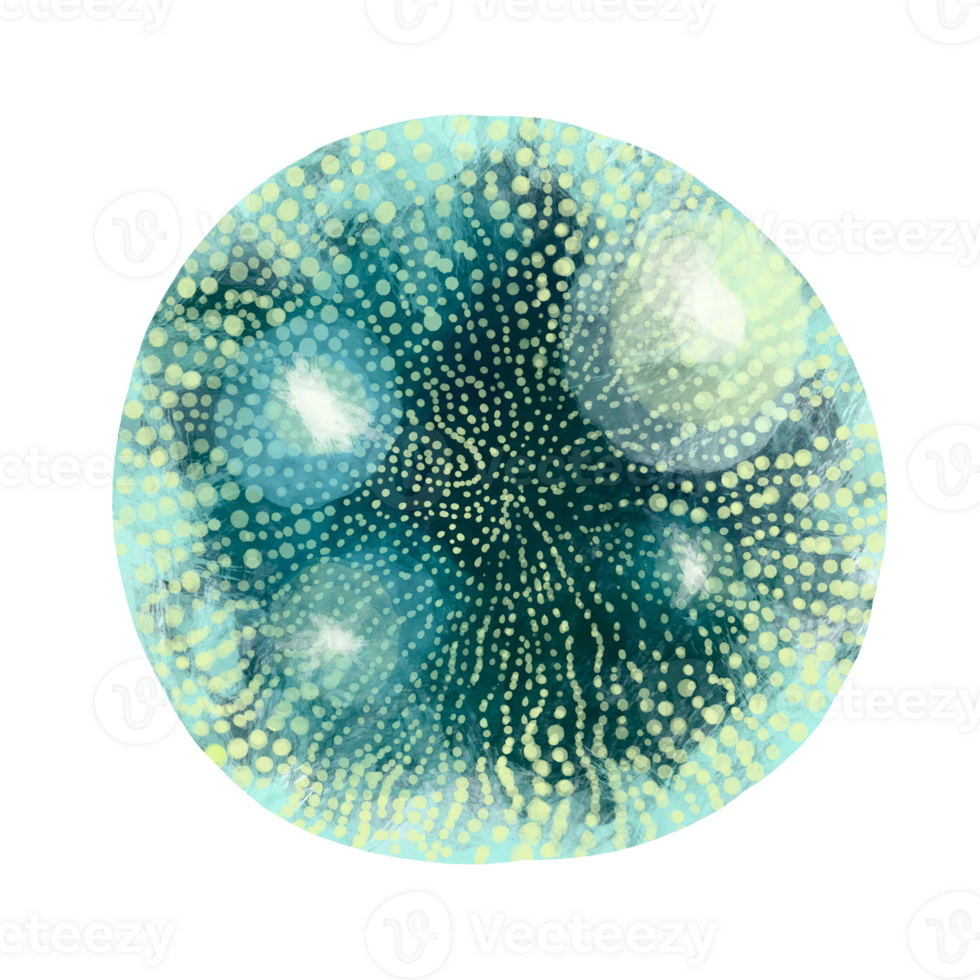 eencellig protozoa. kleur illustratie van een eencellig bacterie. voor het drukken studieboeken, encyclopedieën, brochures en posters Aan biologie en geneesmiddel. voor het drukken Aan voorwerpen en website ontwerp. png