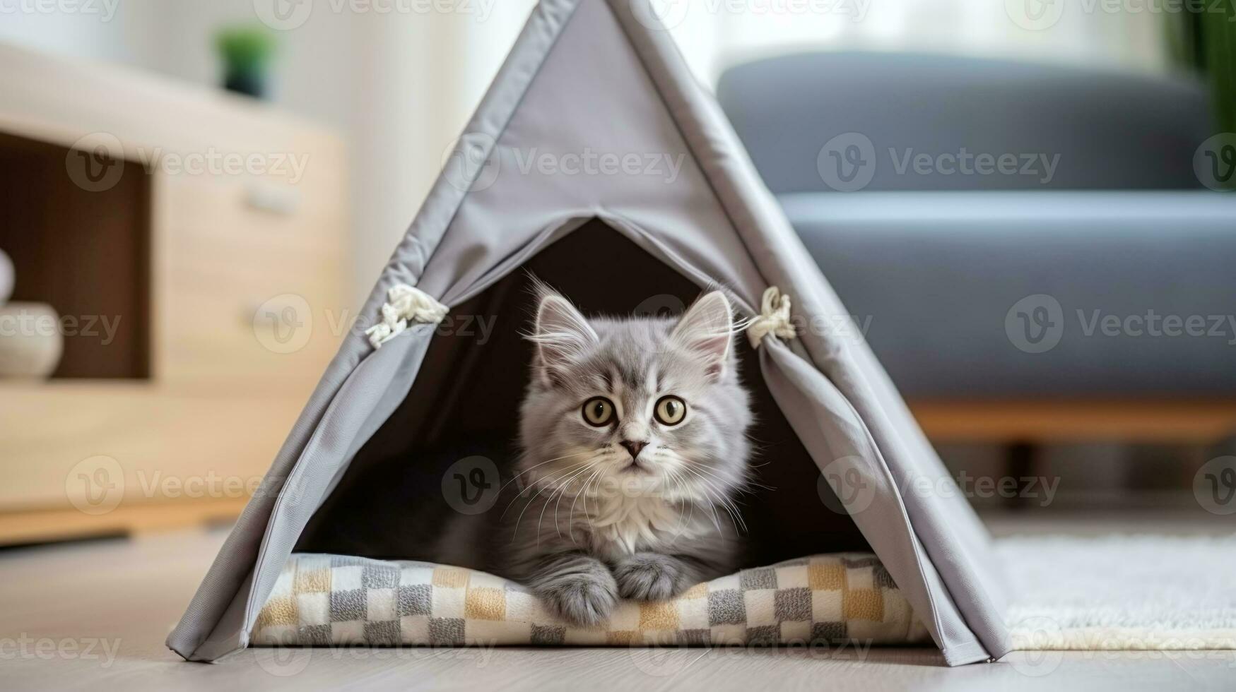 AI generated Adorable gray kitten with striking eyes in a stylish tent bed, soft pet-friendly home setting photo