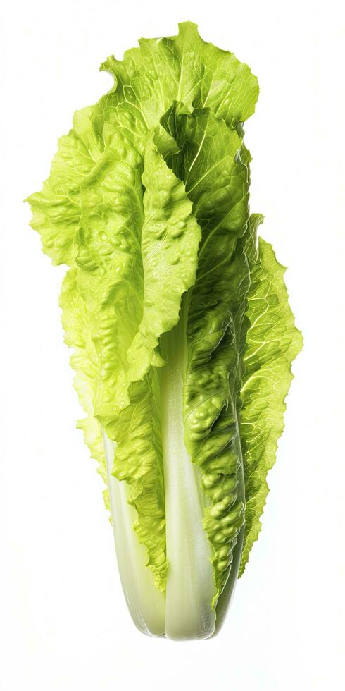 AI generated Lettuce isolated on white background. AI Generated photo