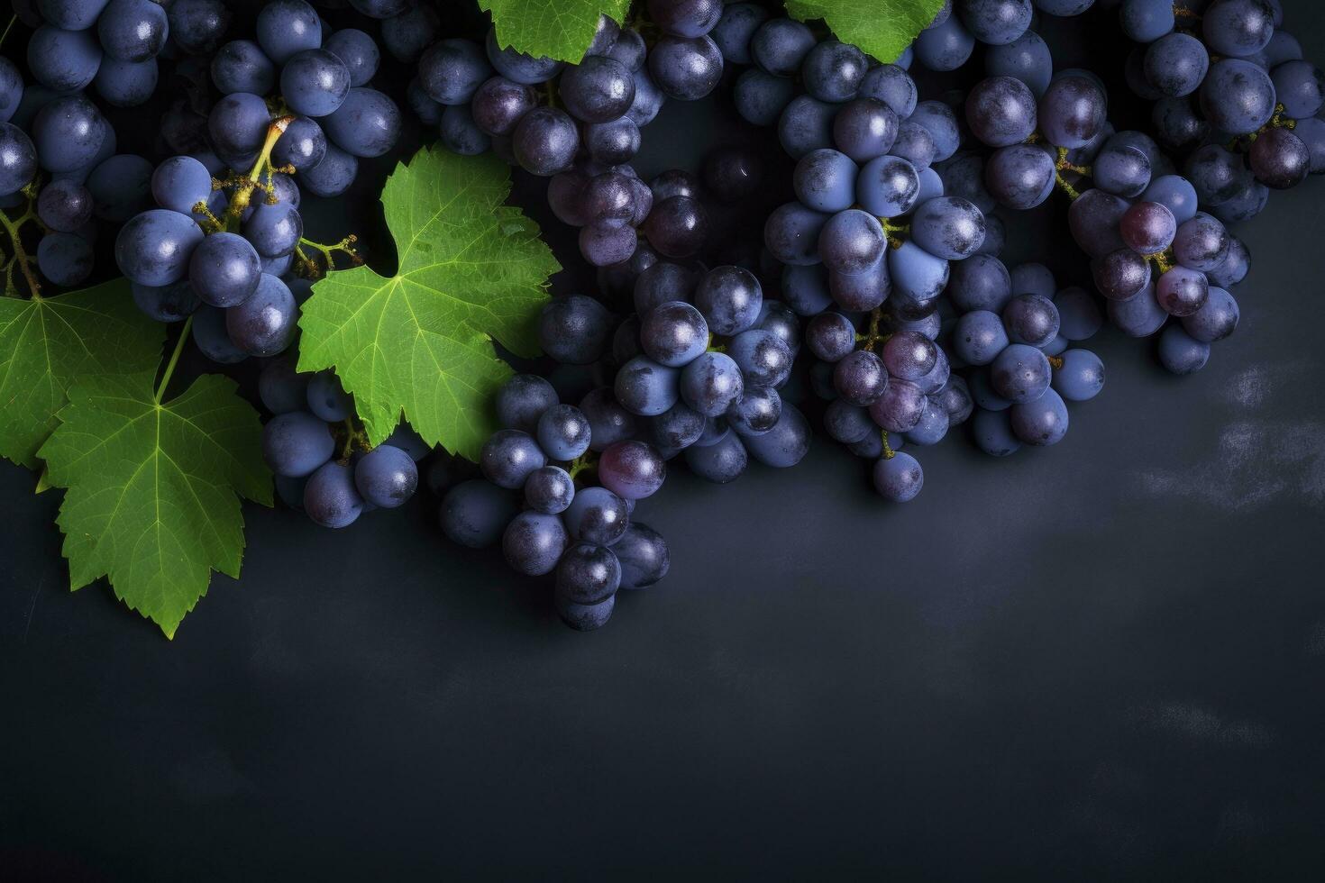 AI generated Flat lay background of vines, lots of organic blue dark grapes. AI Generated photo