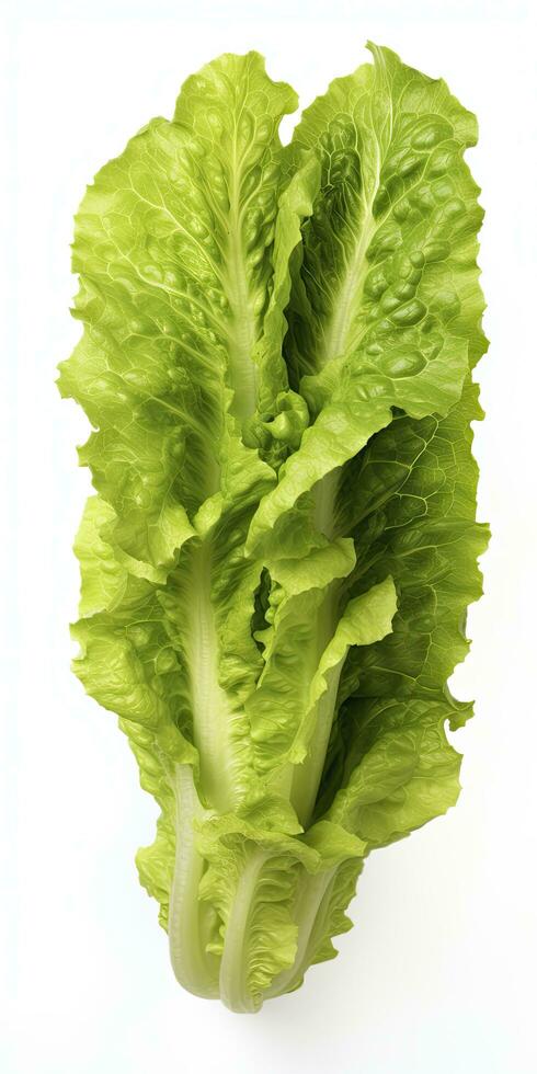 AI generated Lettuce isolated on white background. AI Generated photo