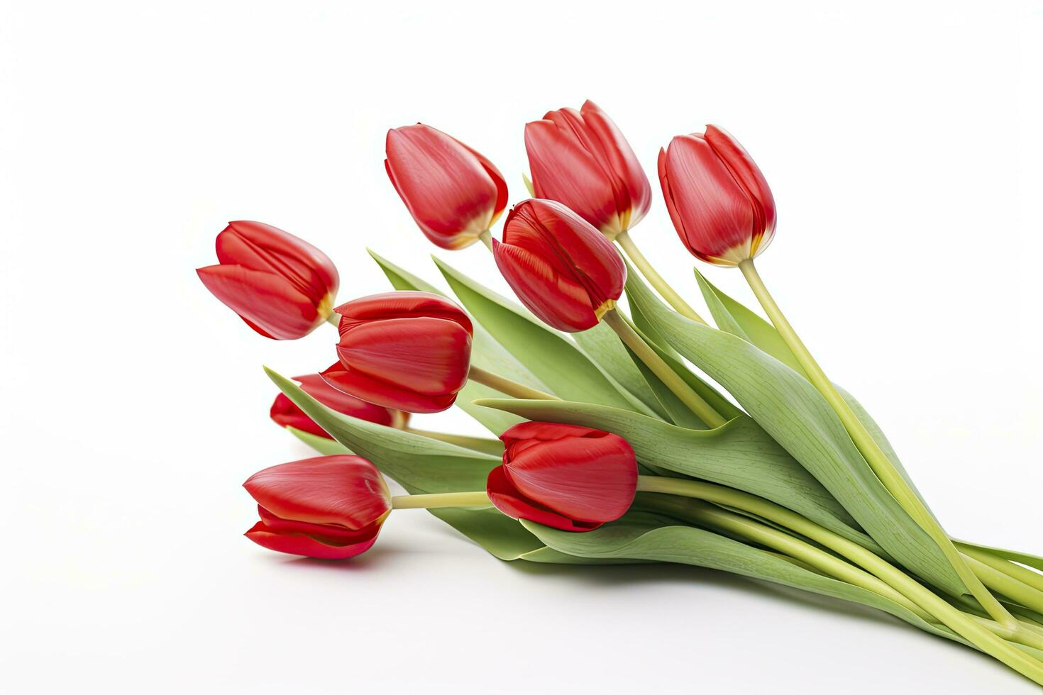 AI generated Red tulips isolated on white background. AI Generated photo