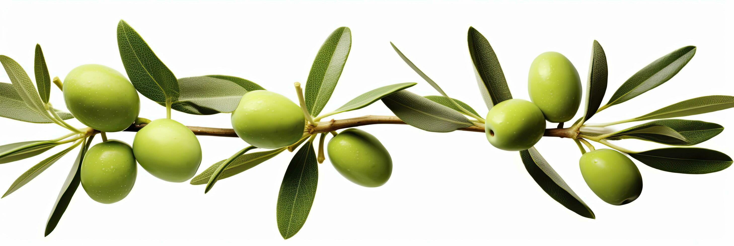 AI generated Olive tree branch, green olives and leaves on white background. AI Generated. photo