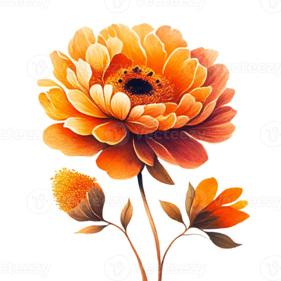 AI generated orange flower floral png