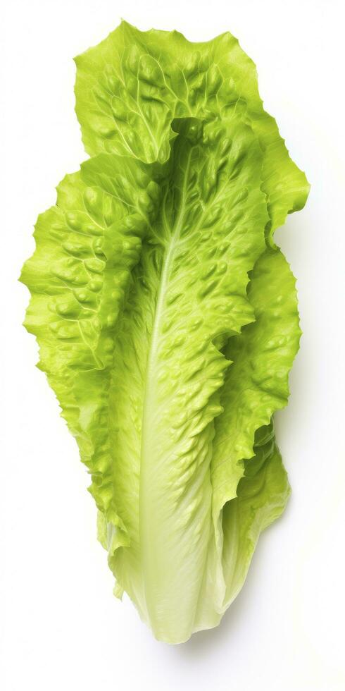 AI generated Lettuce isolated on white background. AI Generated photo