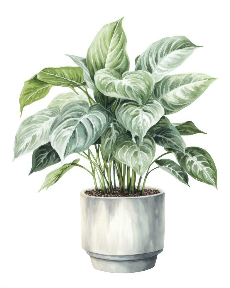 AI generated Watercolor potted houseplant isolated on white background. AI Generated photo