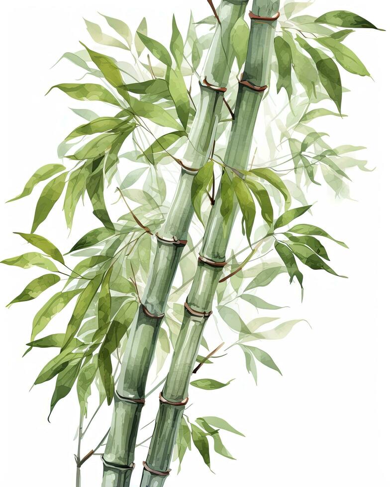 AI generated Watercolor bamboo clipart isolated on white background. AI Generated photo