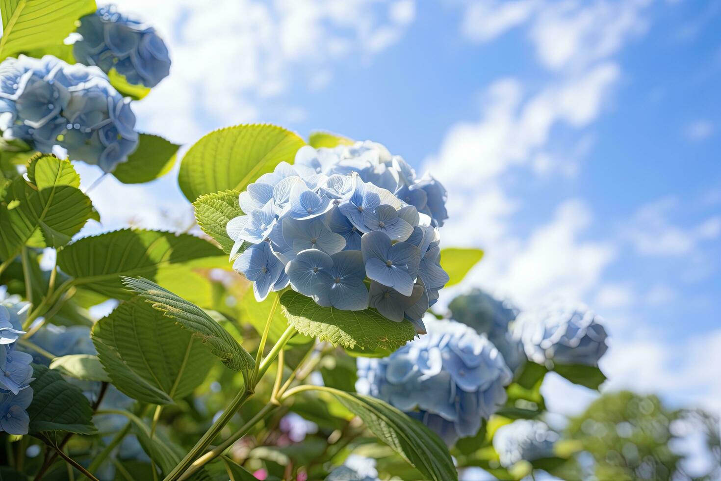 AI generated Blue French hydrangea under blue sky. AI Generated photo