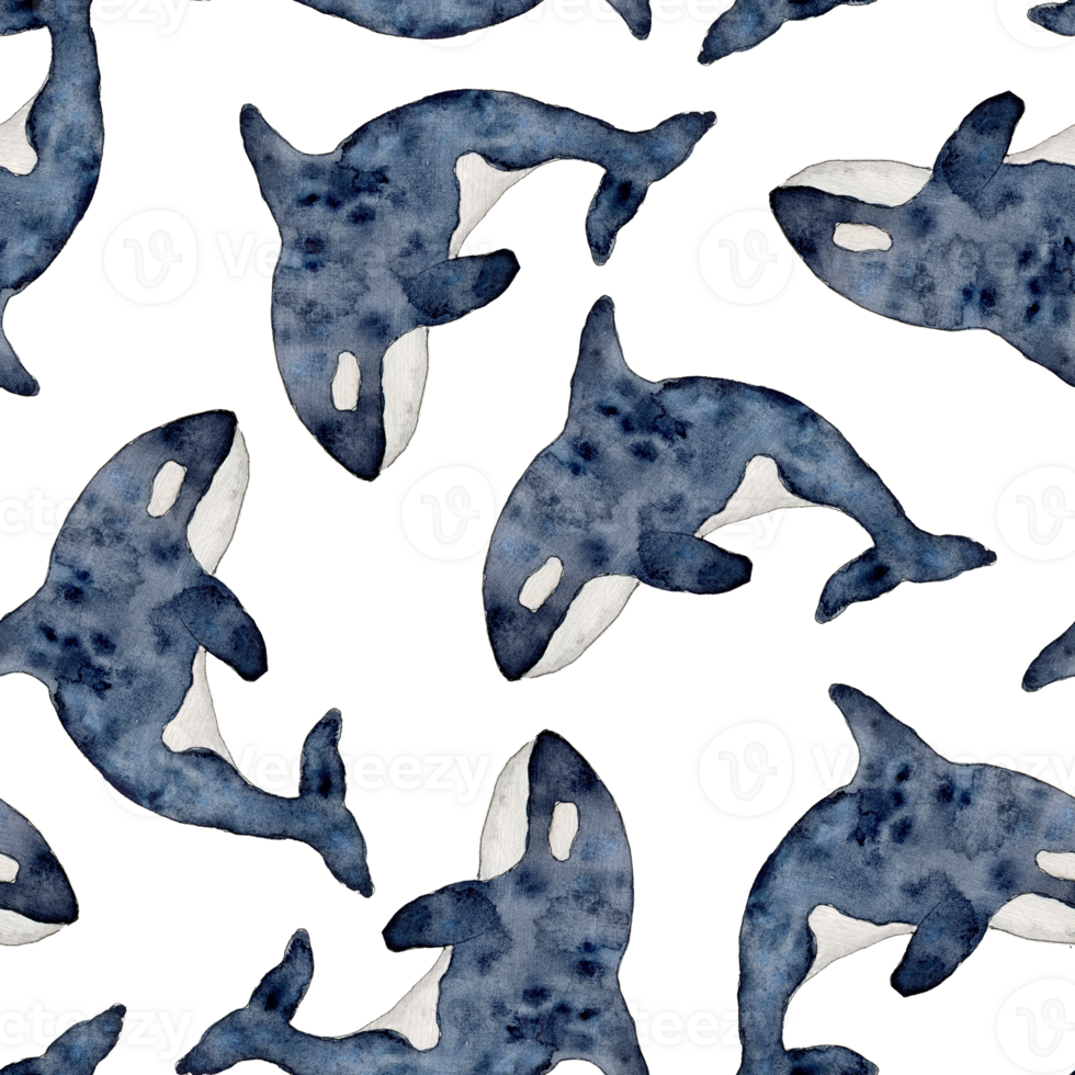 Seamless pattern with Killer whale or Orcinus orca. Wild inhabitants of the seas and oceans of the Arctic. Hand drawn watercolor line art illustration. Endless background for wallpaper, fabric png