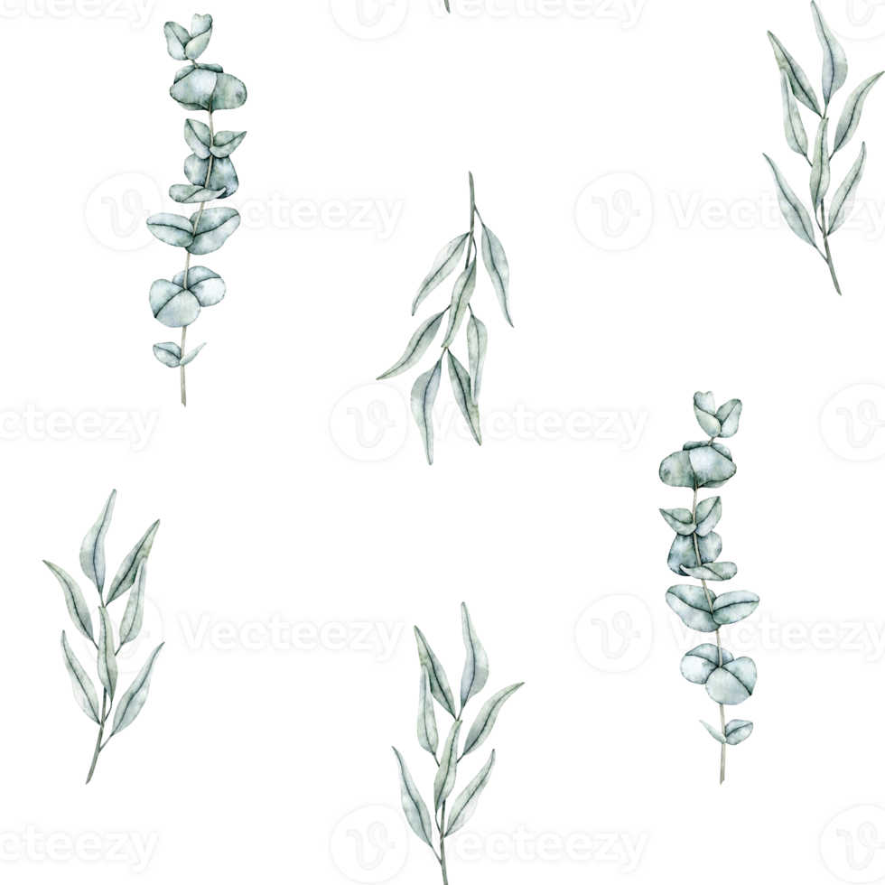 Seamless pattern with eucalyptus and olive branches. Greenery foliage on background. Endless Hand drawn watercolor illustration for wallpaper, fabric, wrapping paper png