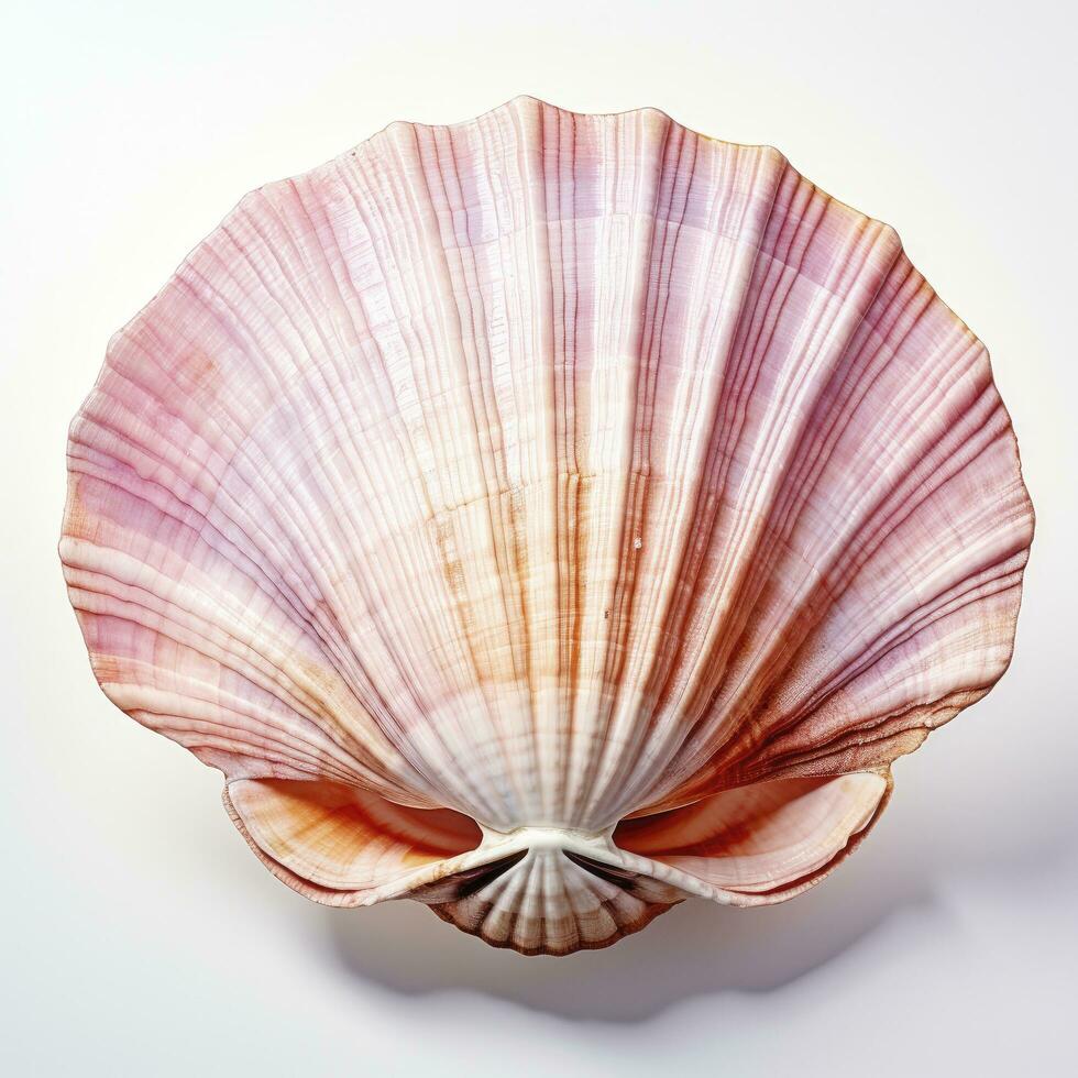 AI generated Watercolor Seashell clipart on white background. AI Generated photo