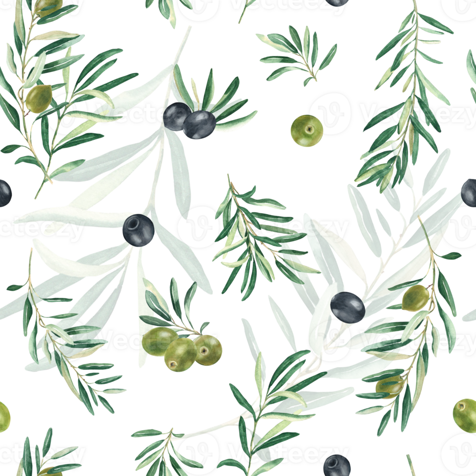 Watercolor seamless pattern with branches of green and black olives on a white background. Can be used for textile, wallpaper prints, kitchen, food and cosmetic design. png