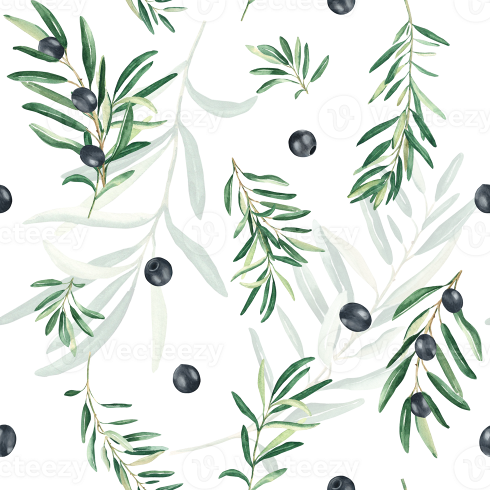 Watercolor seamless pattern with branches of black olives on a white background. Can be used for textile, wallpaper prints, kitchen, food and cosmetic design. png