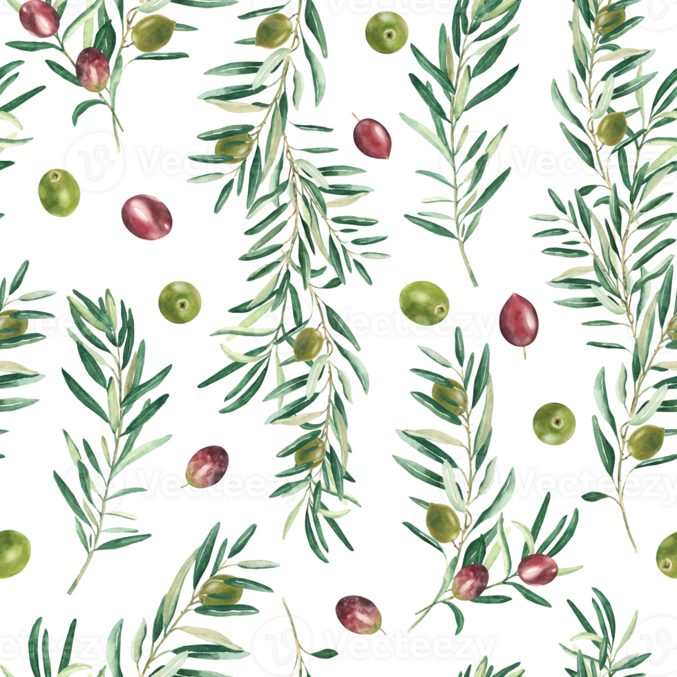 Watercolor seamless pattern with branches of green and red olives on a white background. Can be used for textile, wallpaper prints, kitchen, food and cosmetic design. png