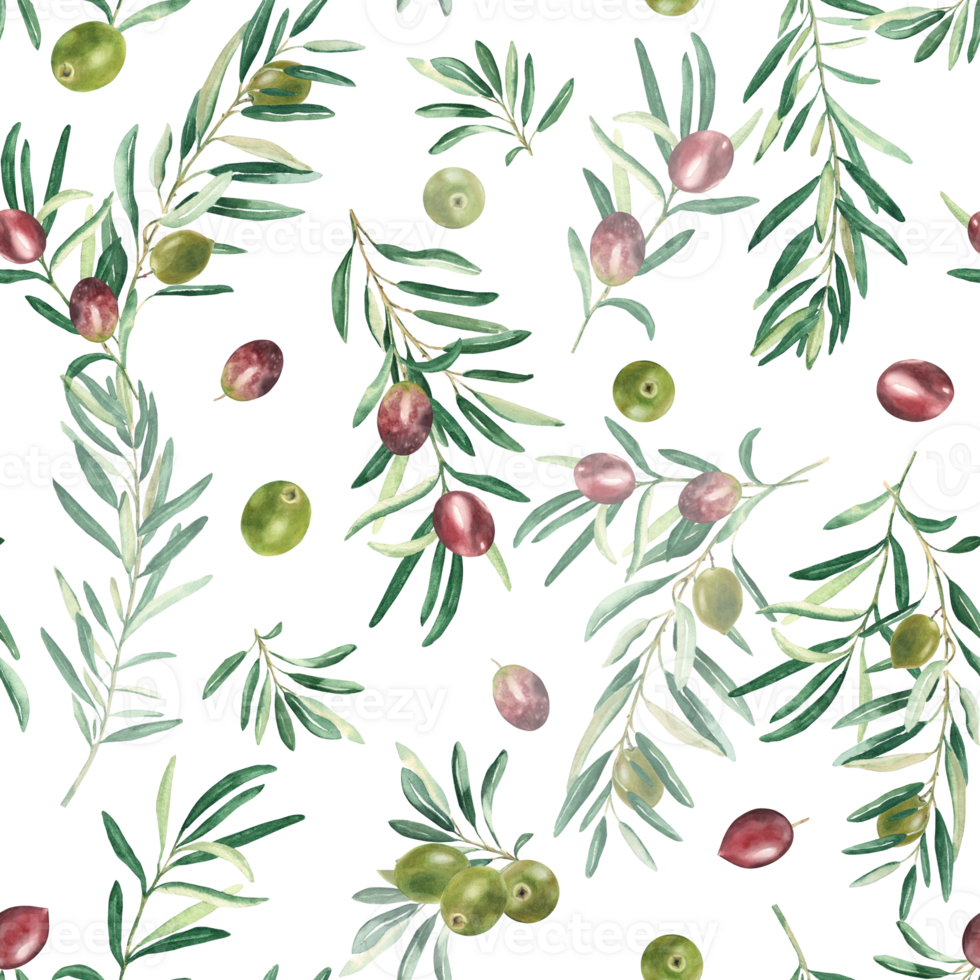 Watercolor seamless pattern with branches of green and red olives on a white background. Can be used for textile, wallpaper prints, kitchen, food and cosmetic design. png