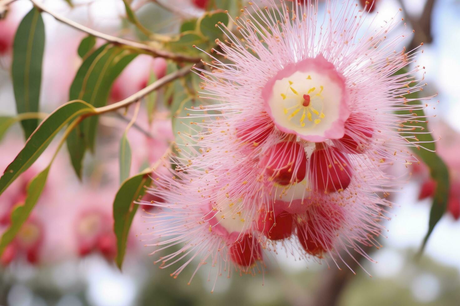 AI generated Beautiful Gum tree pink flowers and buds. AI Generated photo