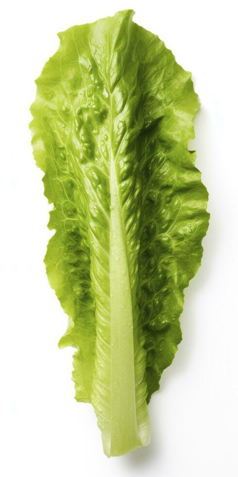 AI generated Lettuce isolated on white background. AI Generated photo