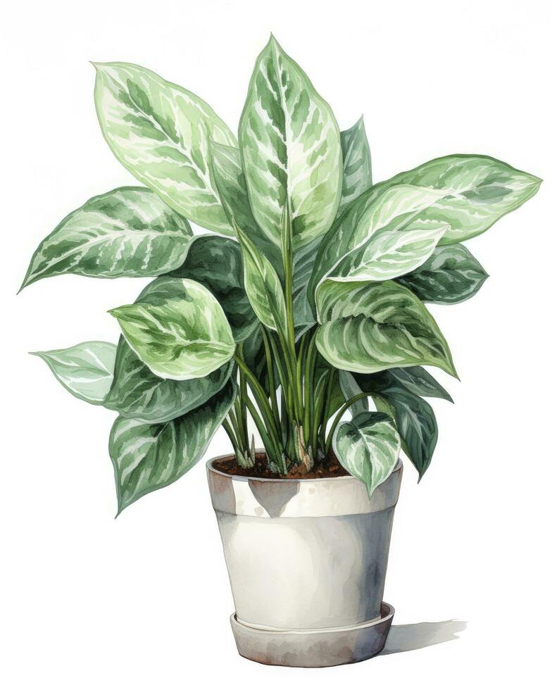 AI generated Watercolor potted houseplant isolated on white background. AI Generated photo