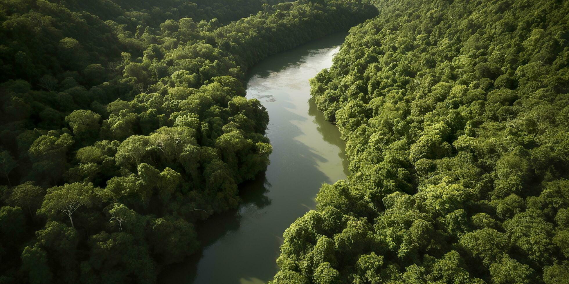 ai generado aéreo ver de el amazonas selva paisaje con río doblar. generativo ai foto