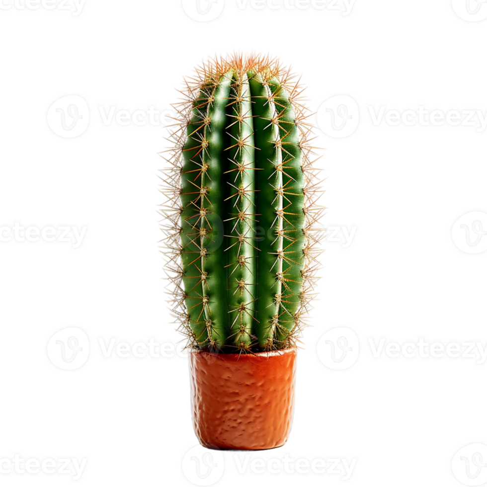 ai generado cactus en maceta en transparente antecedentes png imagen