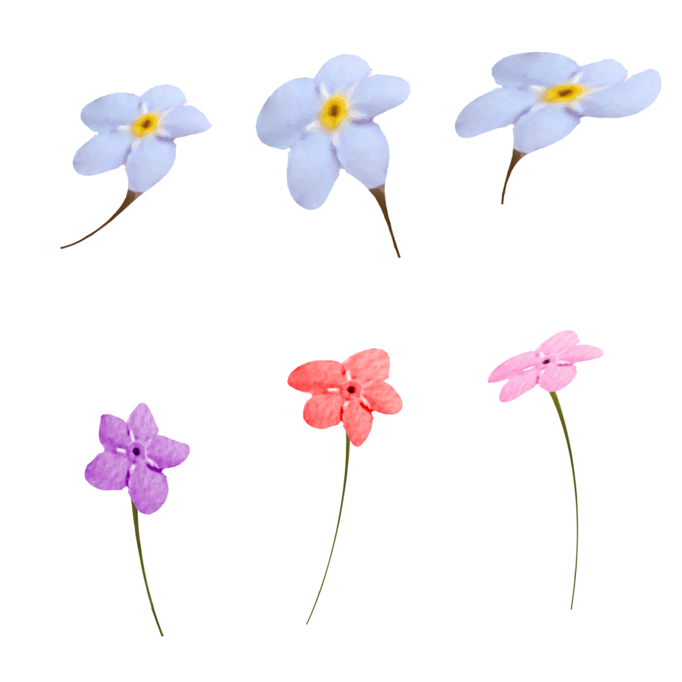 Watercolor Flower transparent background 35575290 PNG