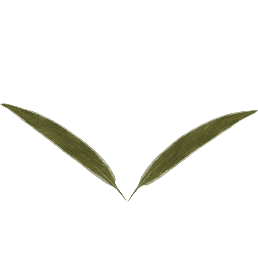 Watercolor Green leaf png