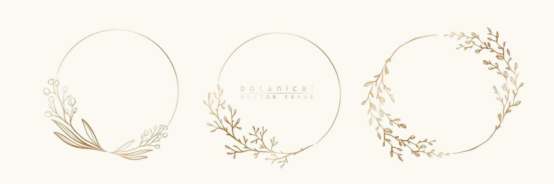 Botanical golden circle frame set. Hand drawn round line border, leaves and flowers for wedding invitation and cards, logo design, social media and posters template. Elegant minimal floral vector. vector