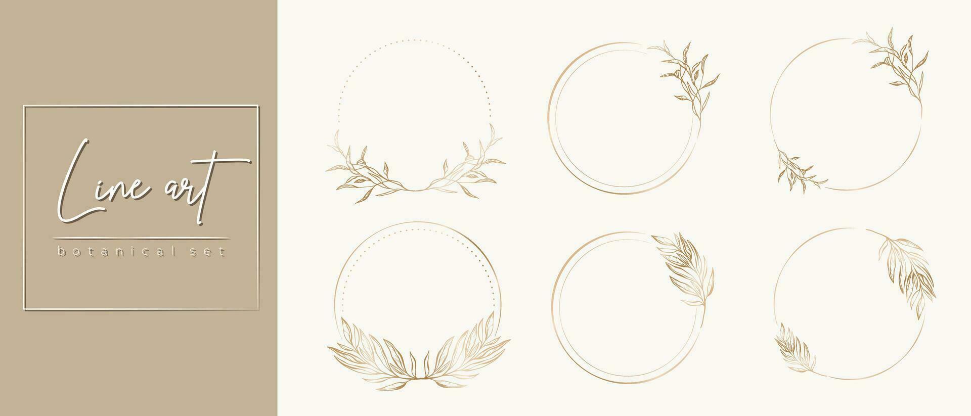 Botanical golden circle frame set. Hand drawn round line border, leaves and flowers, wedding invitation and cards, logo design, social media and posters template. Elegant minimal style floral vector