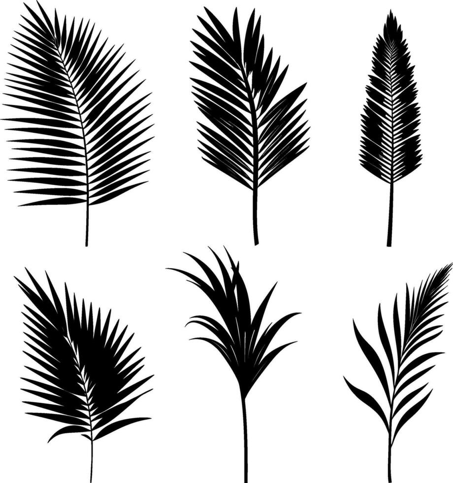 Set of black silhouettes of tropical leaves palms, trees. Vector. AI generated illustration. vector