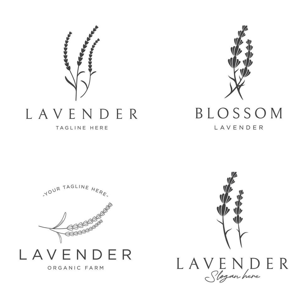 Blooming lavender organic flower logo template design. Logo for cosmetics, beauty, botany, perfume and decoration. vector