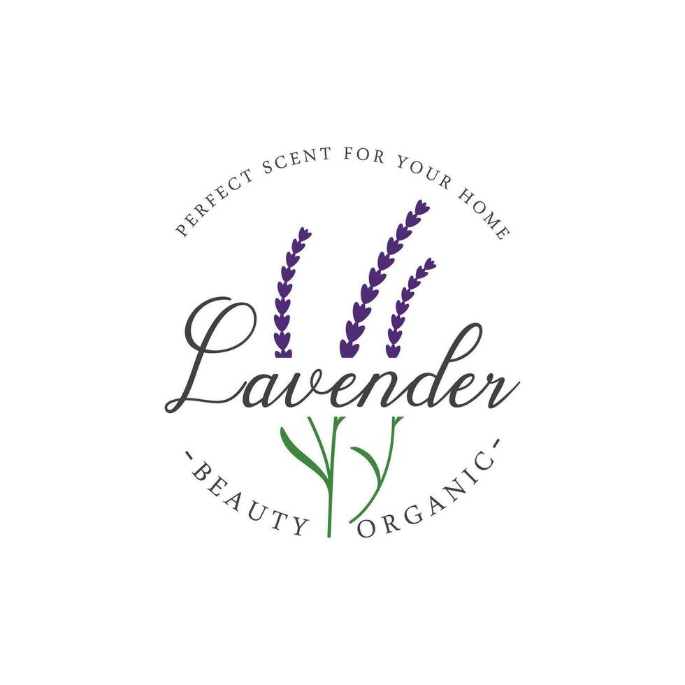 Blooming lavender organic flower logo template design. Logo for cosmetics, beauty, botany, perfume and decoration. vector