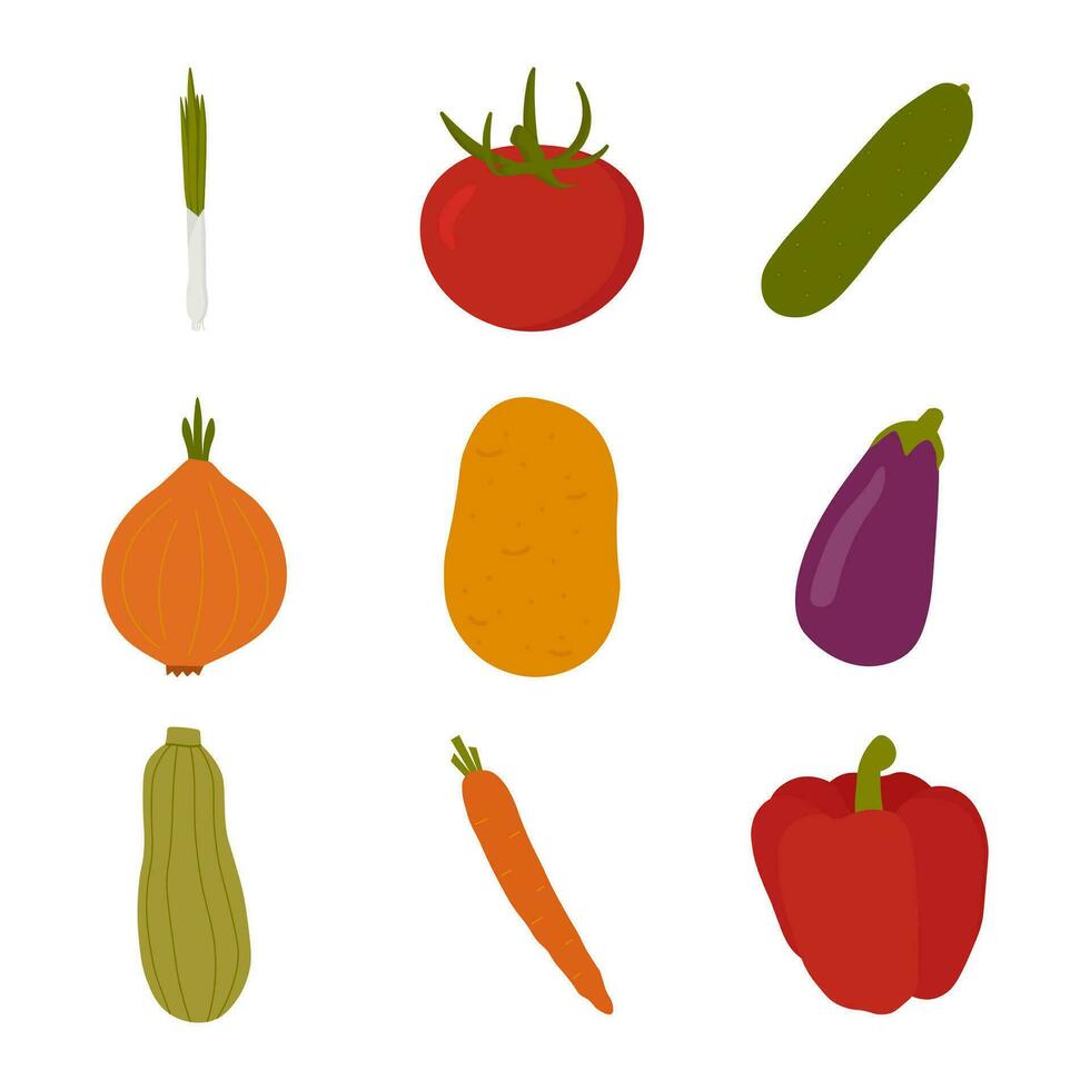 Hand drawn diverse vegetables collection. Isolated vector illustrations set in trendy flat design. Icons of tomato, onion, potato, green onion, carrot, bell pepper, zucchini, eggplant and cucumber.