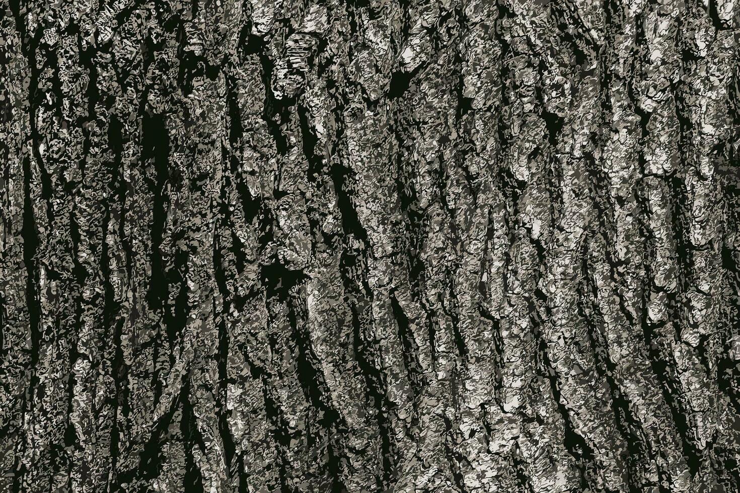 Vector illustration of Birch bark texture. The texture of the birch bark. Birch bark background. Birch tree trunk, Betula pendula.