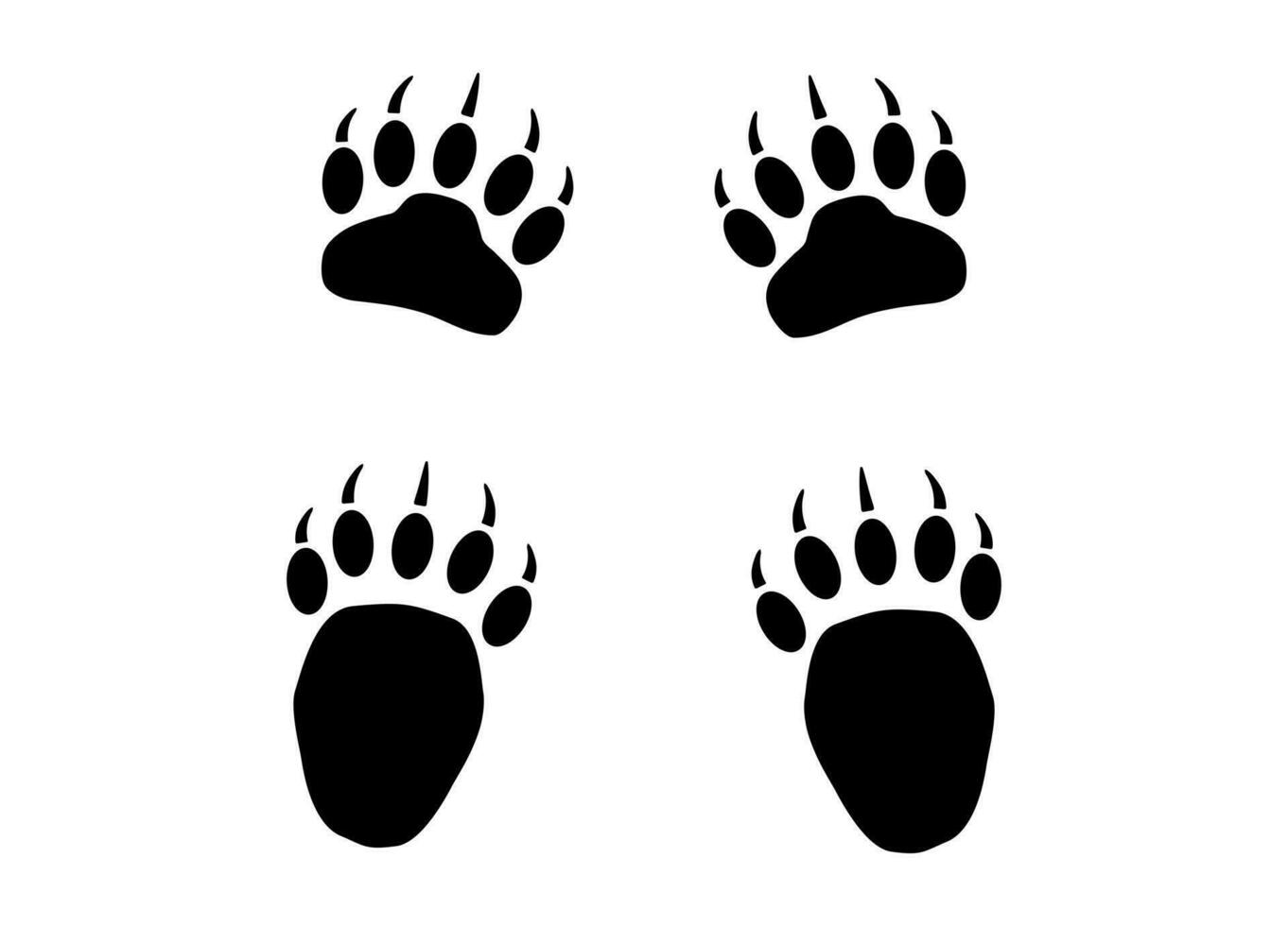 Bear or panda furry paw footprint with claws. Silhouette, contour. Icon. Vector isolated on white. Black and white. Grizzly wild animal paw print icon and symbol. Print, textile, postcard, pet store