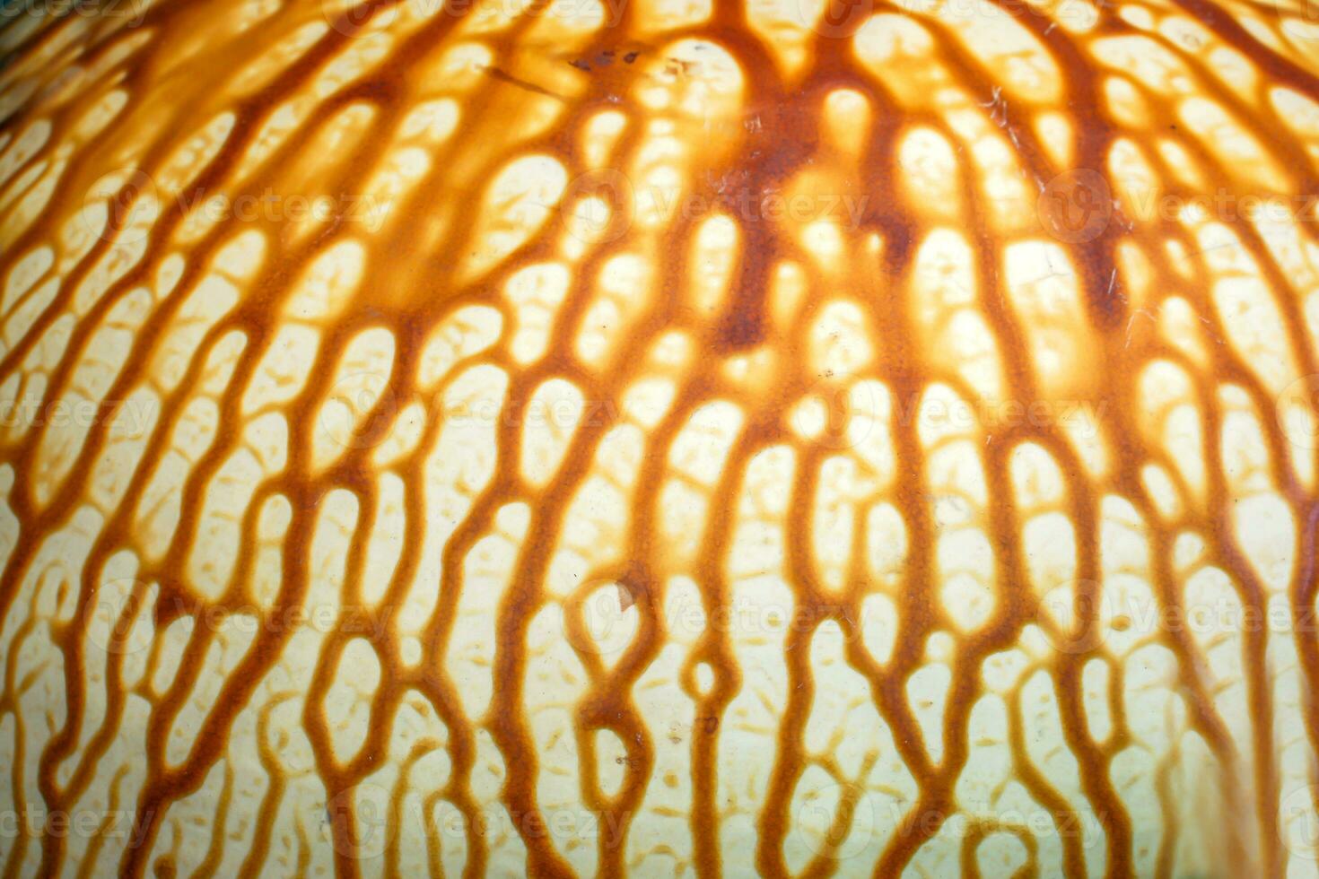 Closeup and crop background and texture of old vase. It's texture look like of a texture of blood vessel or tree root. photo