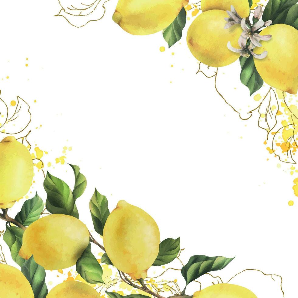 Lemons are yellow, juicy, ripe with green leaves, flower buds on the branches, whole and slices. Watercolor, hand drawn botanical illustration. Frame, template on a white background vector