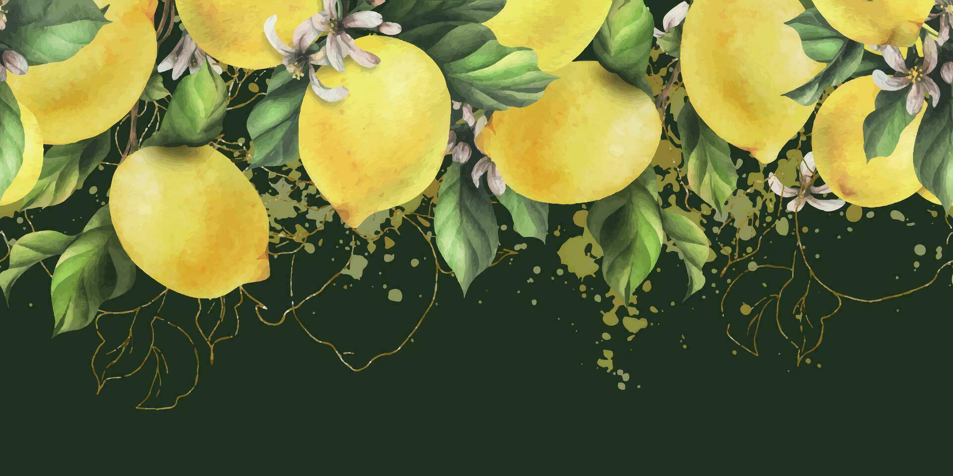 limones son amarillo, jugoso, maduro con verde hojas, flor brotes en el sucursales, entero. acuarela, mano dibujado botánico ilustración. sin costura frontera en un oscuro verde antecedentes vector