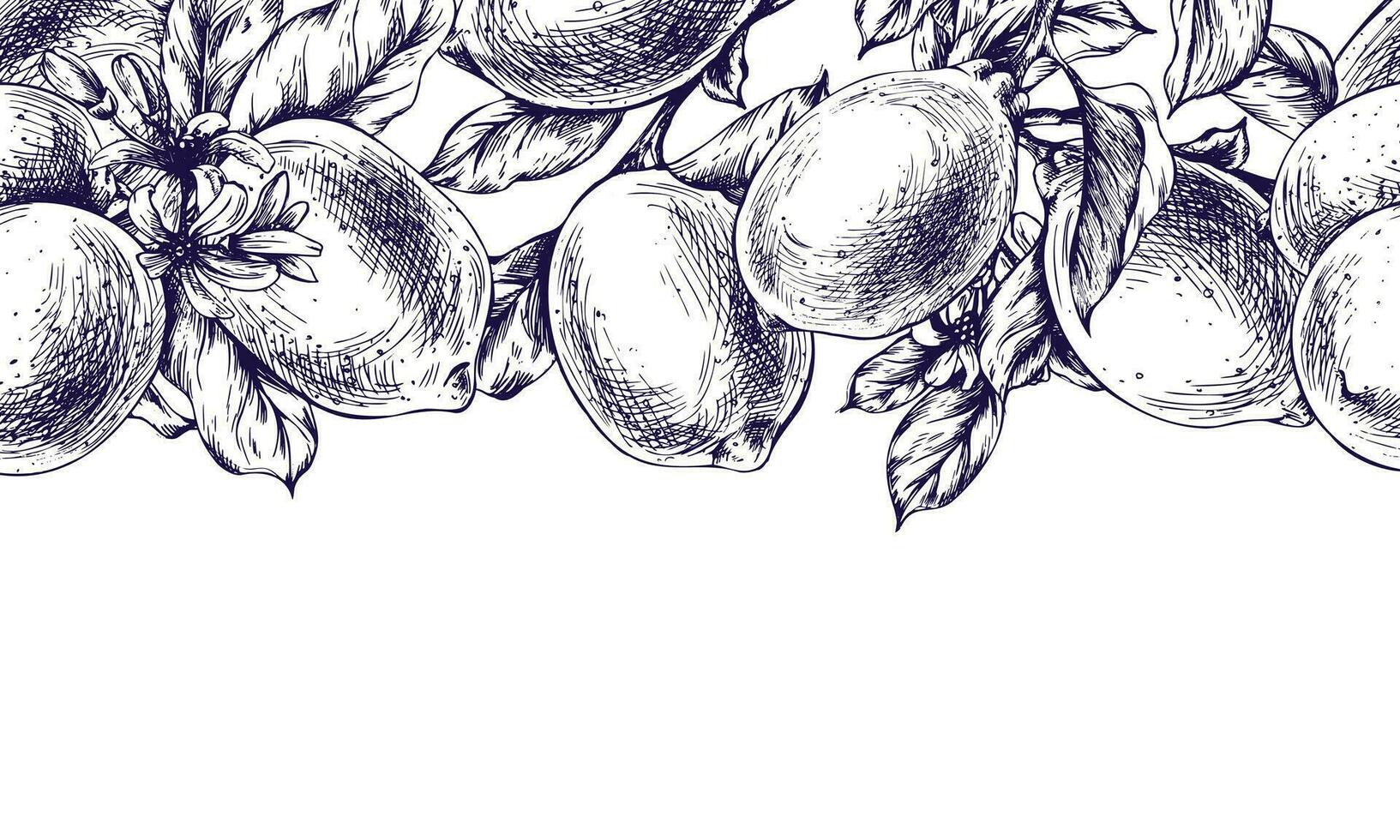 Lemons juicy, ripe with leaves, flower buds on the branches, whole and slices. Graphic botanical illustration hand drawn in blue ink. Seamless border EPS vector
