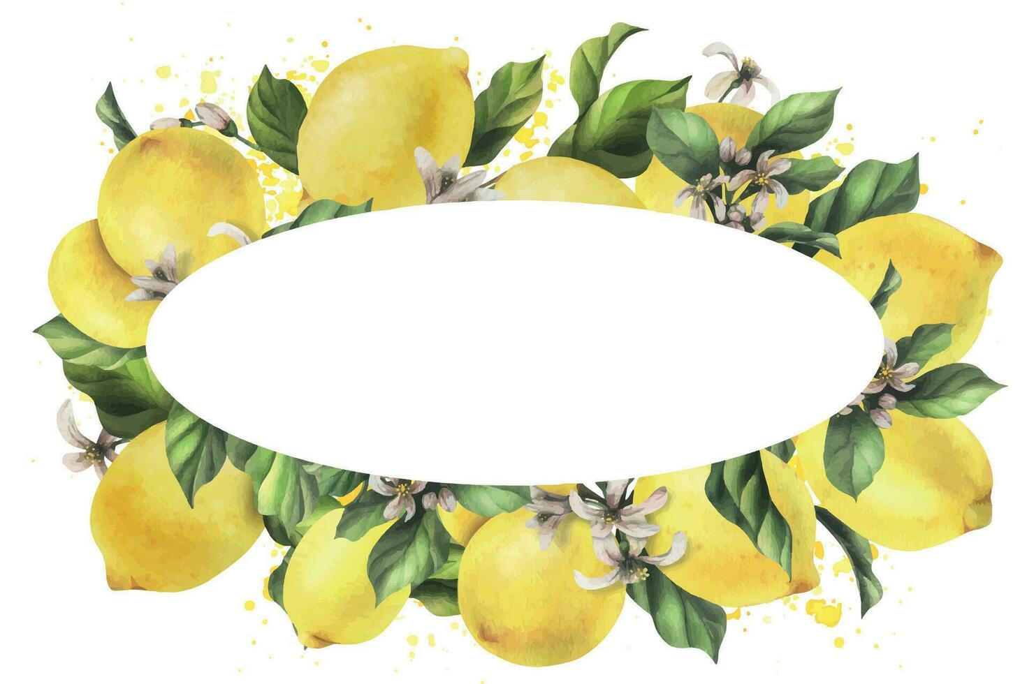 Lemons are yellow, juicy, ripe with green leaves, flower buds on the branches, whole and slices. Watercolor, hand drawn botanical illustration. Frame, template on a white background vector