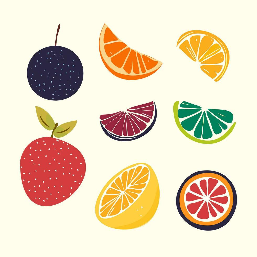 fruit set - citrus fruits and berries vector