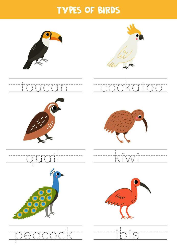 Tracing names of birds types. Writing practice. vector