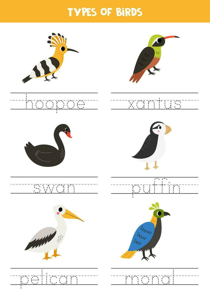 Tracing names of birds types. Writing practice. vector