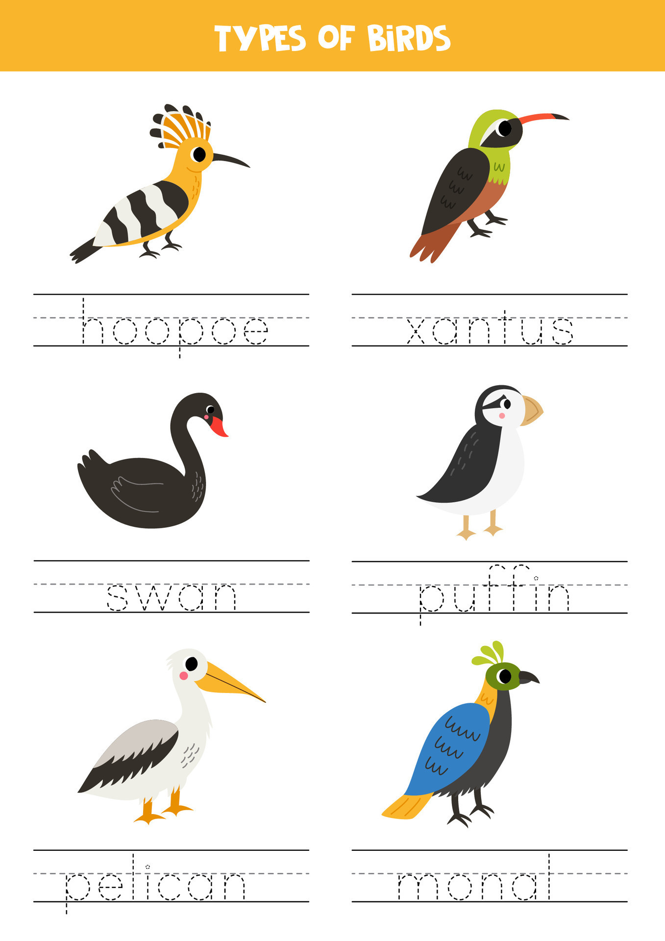 Tracing names of birds types. Writing practice. 35582312 Vector Art at