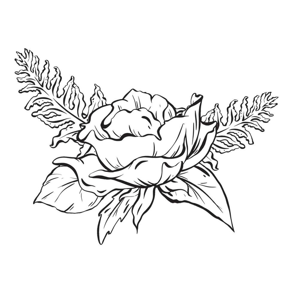 Ink. Floral composition featuring delicate open rose flowers fern and rose leaves. Decorative foliage in a simple monochromatic style. for cards, coloring, prints, posters, and textile printing vector