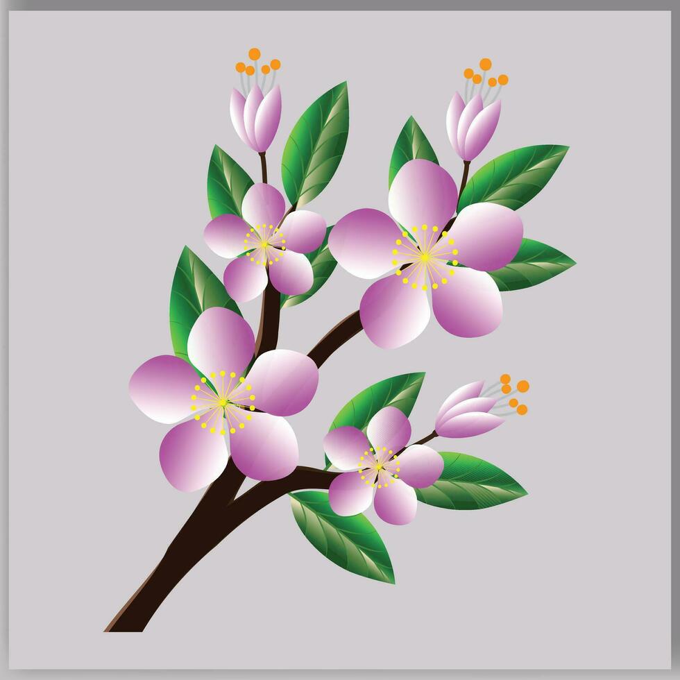 vector primavera sakura Cereza floreciente flor ramo.